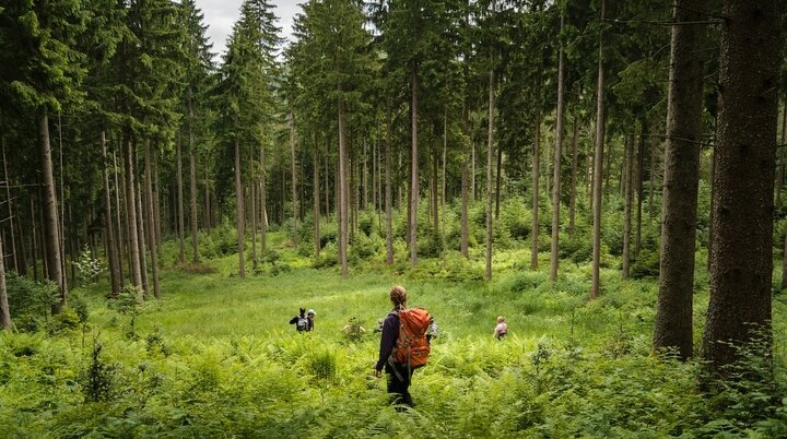 Aktion Schutzwald | © 	DAV/Arvid Uhlig