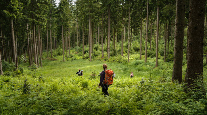 Aktion Schutzwald | © 	DAV/Arvid Uhlig